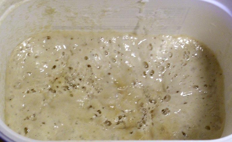 lievito di birra