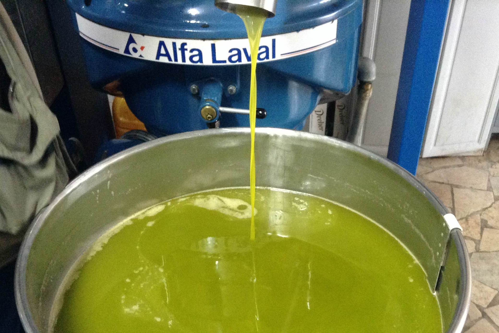 produzione olio