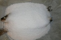 Orata Al Sale La Ricetta Di Un Secondo Piatto Semplice Da Preparare