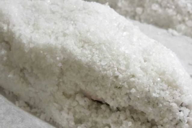 orata-al-sale-come-cucinare