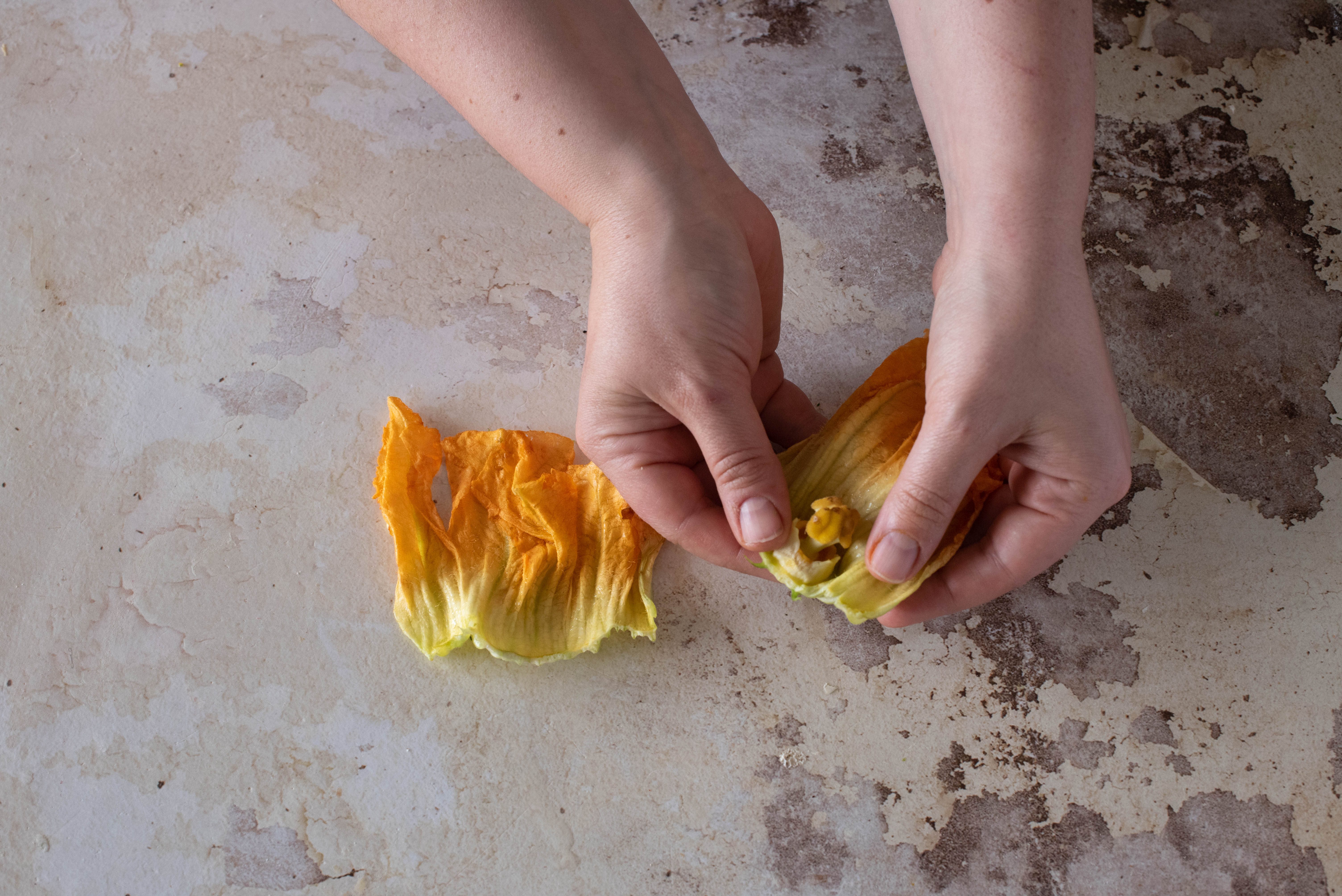 fiori di zucca ripieni al forno