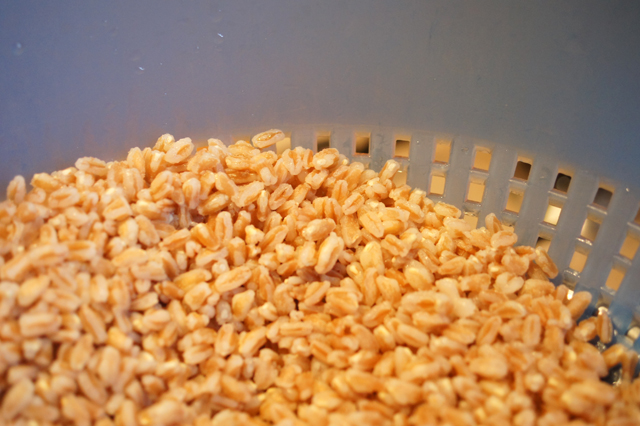insalata-di-farro-e-pollo