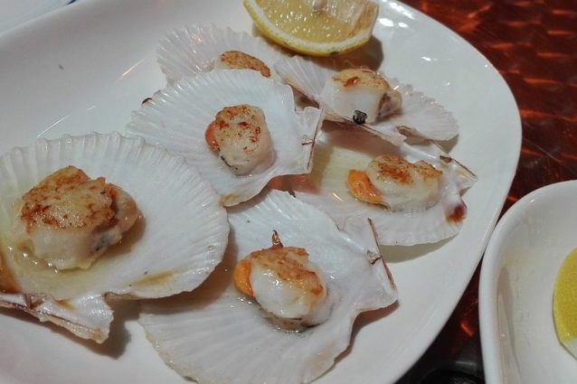 Capesante in padella: la ricetta dell'antipasto di mare ...