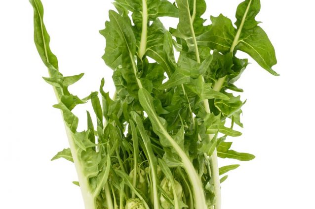 Come pulire le puntarelle: trucchi e consigli per farlo al ...