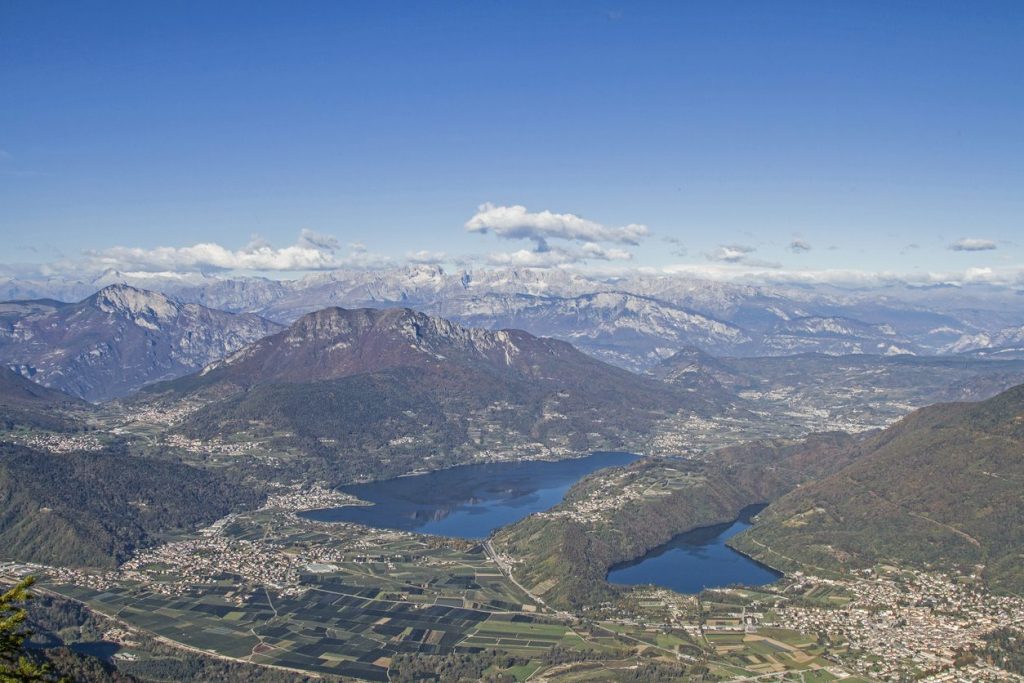 adotta-una-mucca-atp-valsugana