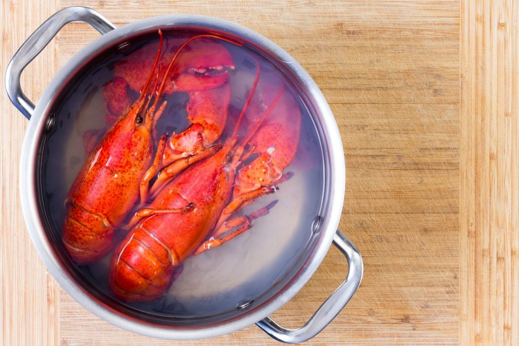 astice-aragosta-cucina