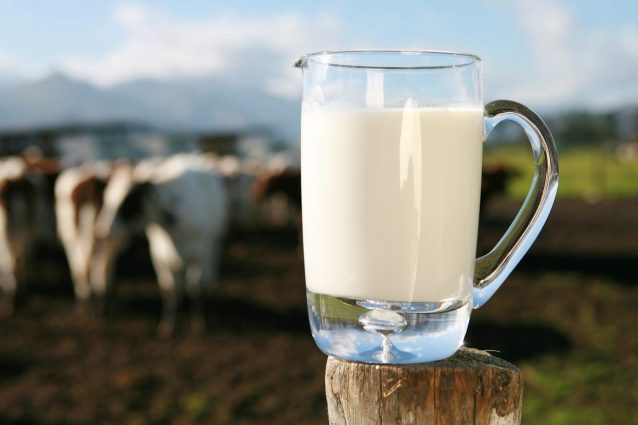 Latte straniero in Molise, la seconda parte dell'Inchiesta di Report