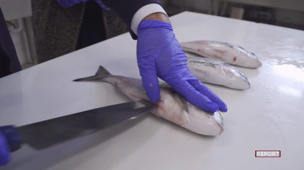 pesce-allevamento-report