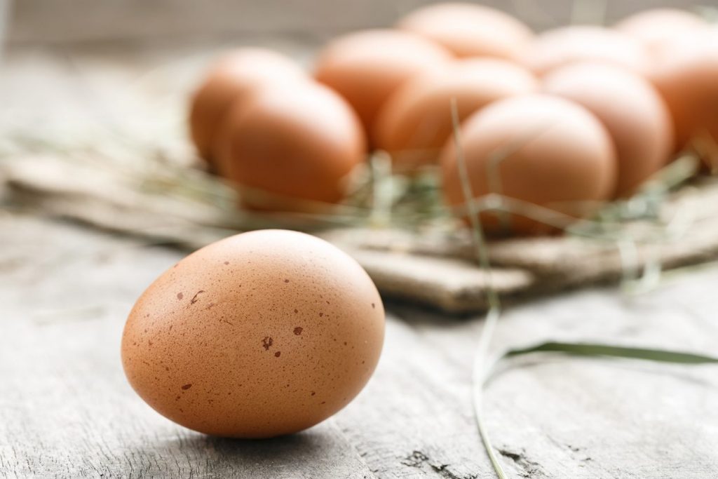 uova-galline-allevate-quasi-a-terra