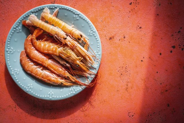 gamberi-crostacei-scampi-cadmio