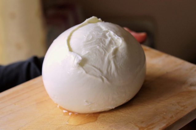 mozzarella-di-bufala