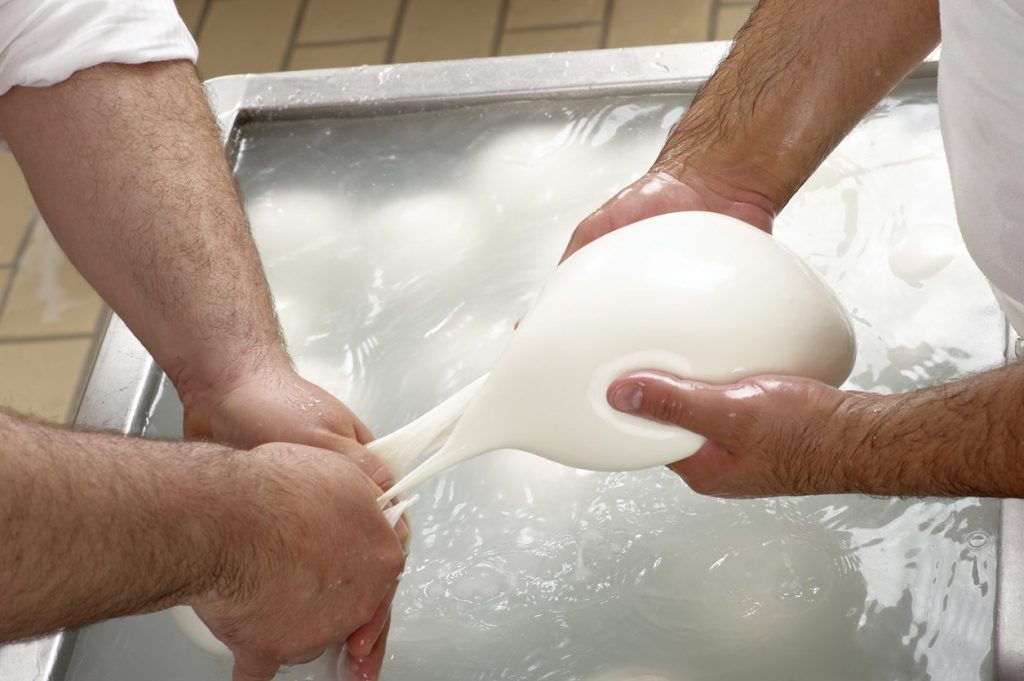 mozzarella-di-bufala-campana-contraffatta