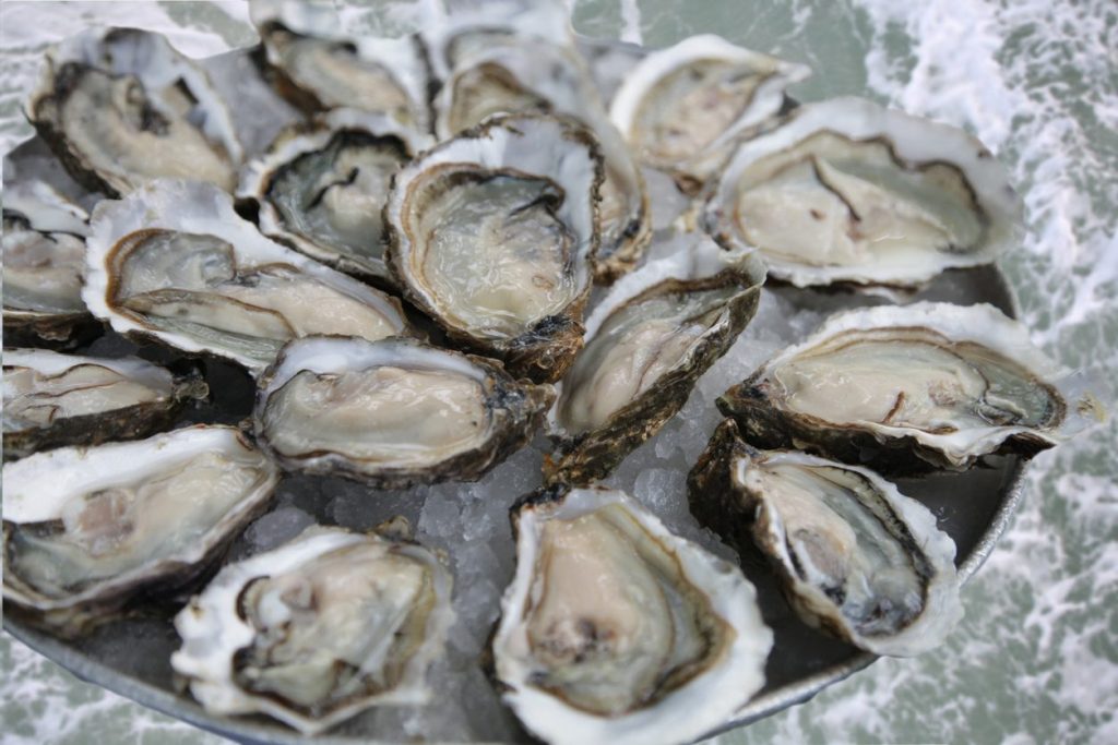 ostriche-infette-francia