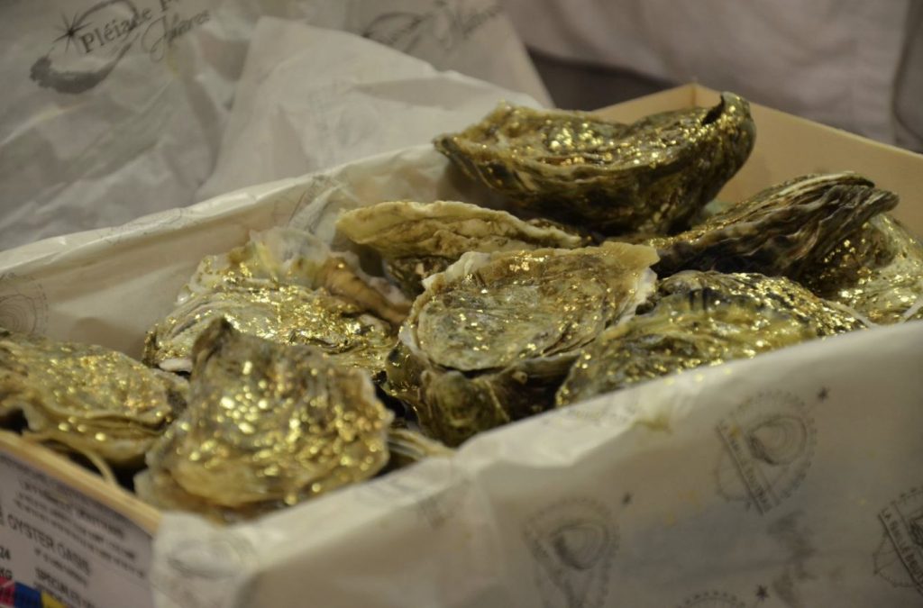 ostriche-oyster-oasis