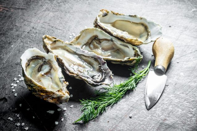 ostriche-oyster-oasis-corrado-tenace