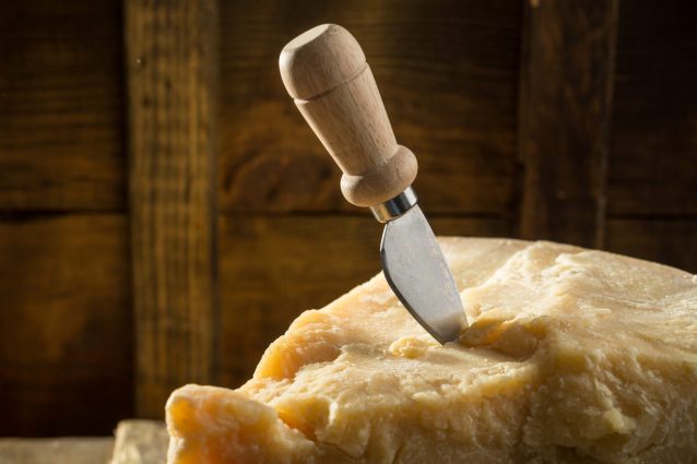 parmigiano-parmesan