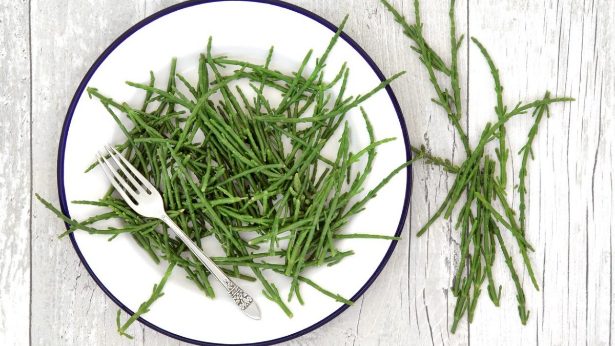 Salicornia Proprieta Ricette E Come Riconoscere L Asparago Di Mare