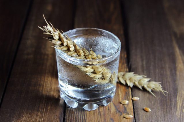 vodka