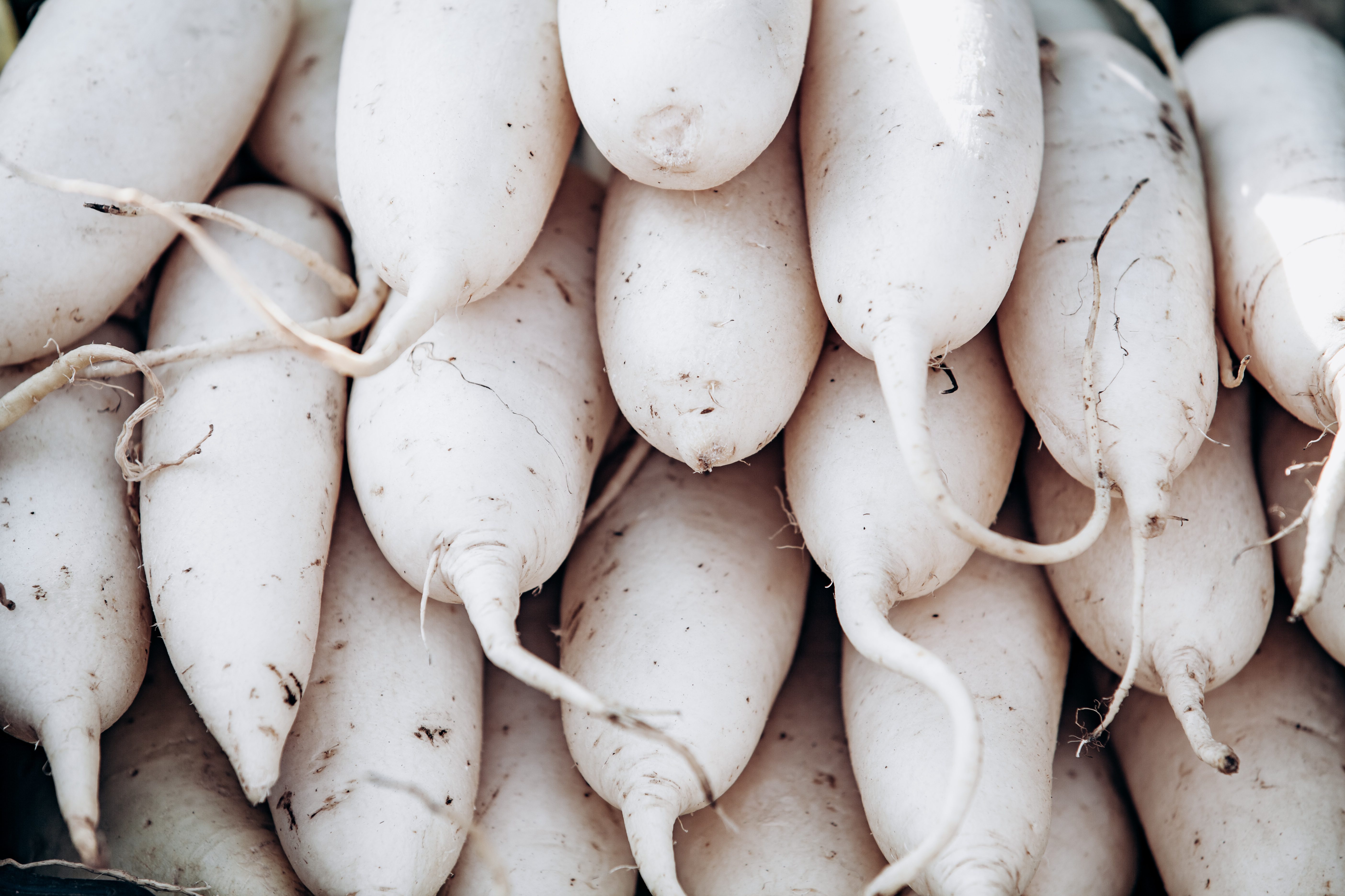 Daikon: proprietà, benefici e usi in cucina