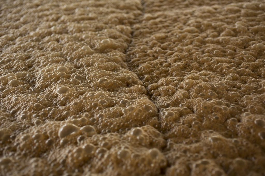 fermentazione-melassa-rum