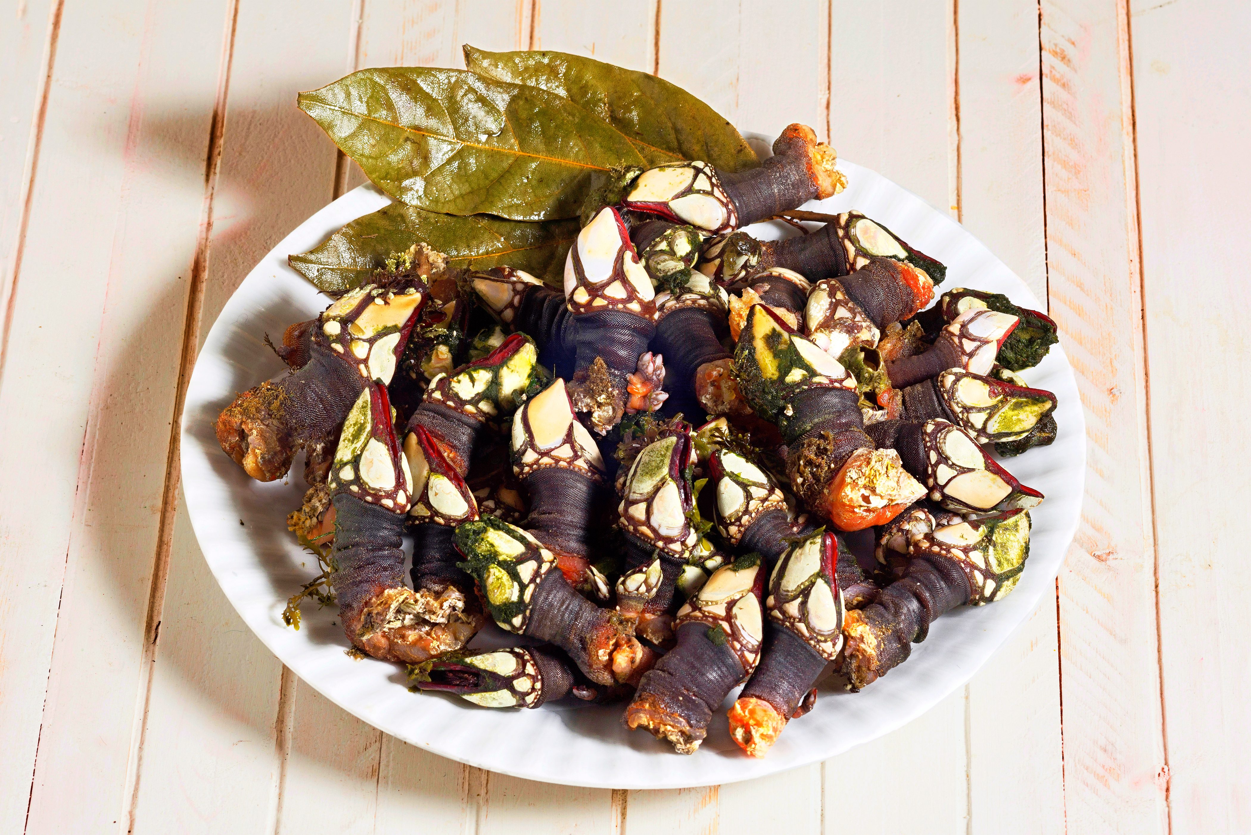piatti spagnoli, percebes