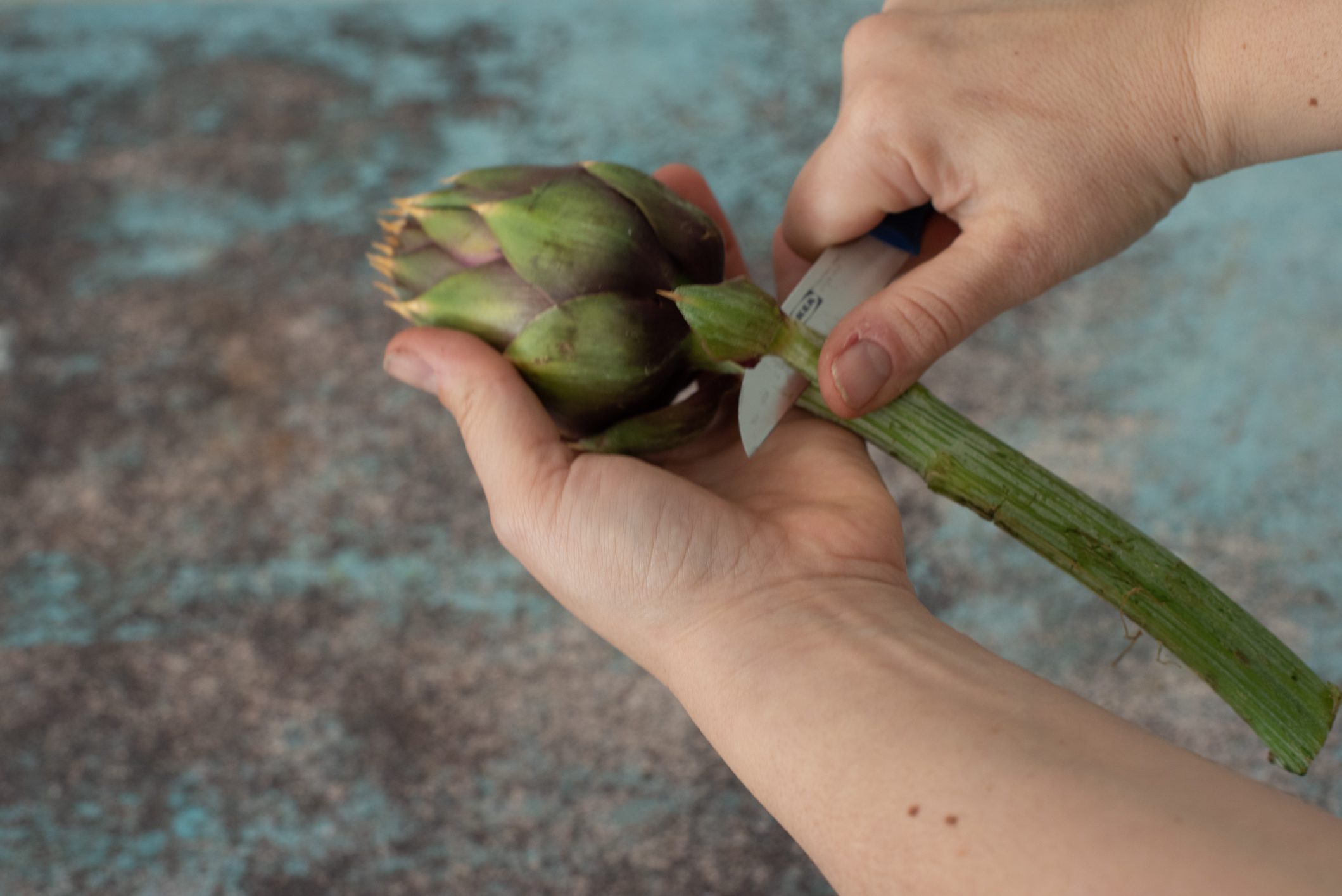 Pollo ai carciofi
