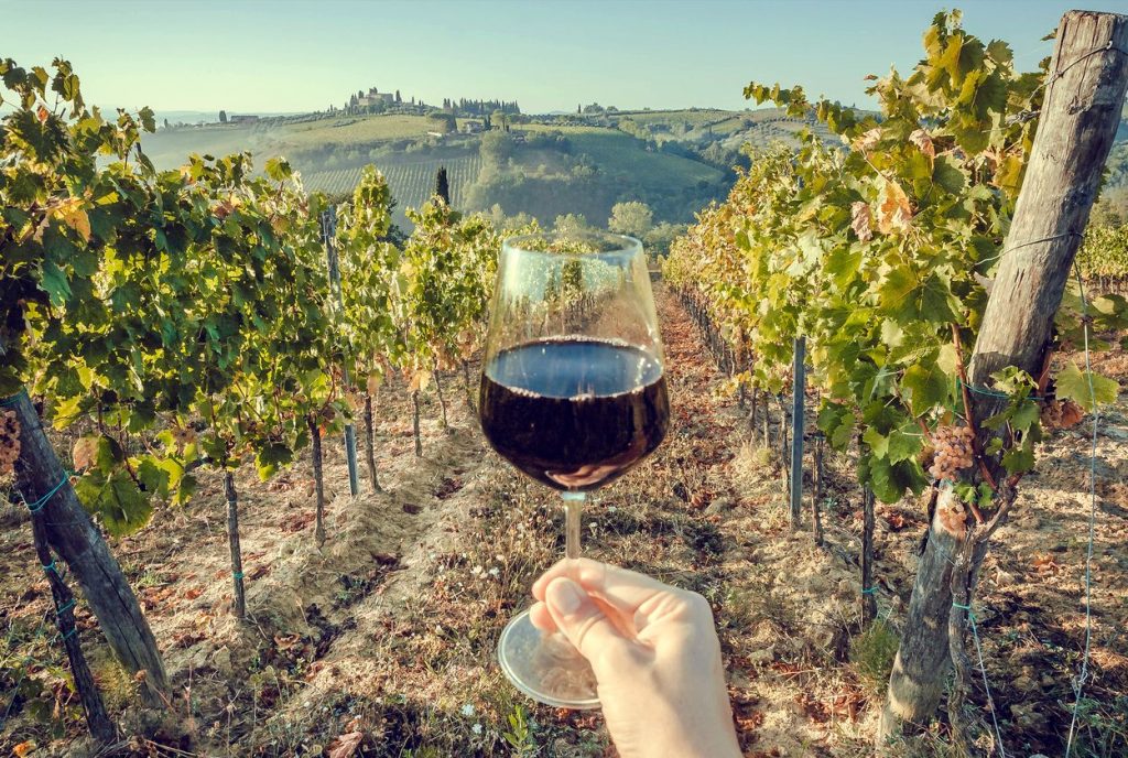 dop-economy-vino