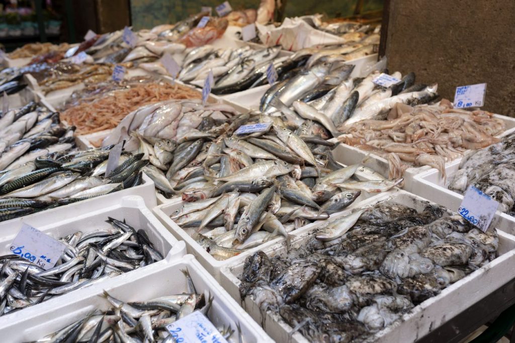 orate-spigole-pesce
