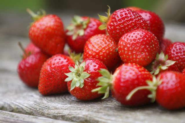 Fragole: proprietà e benefici