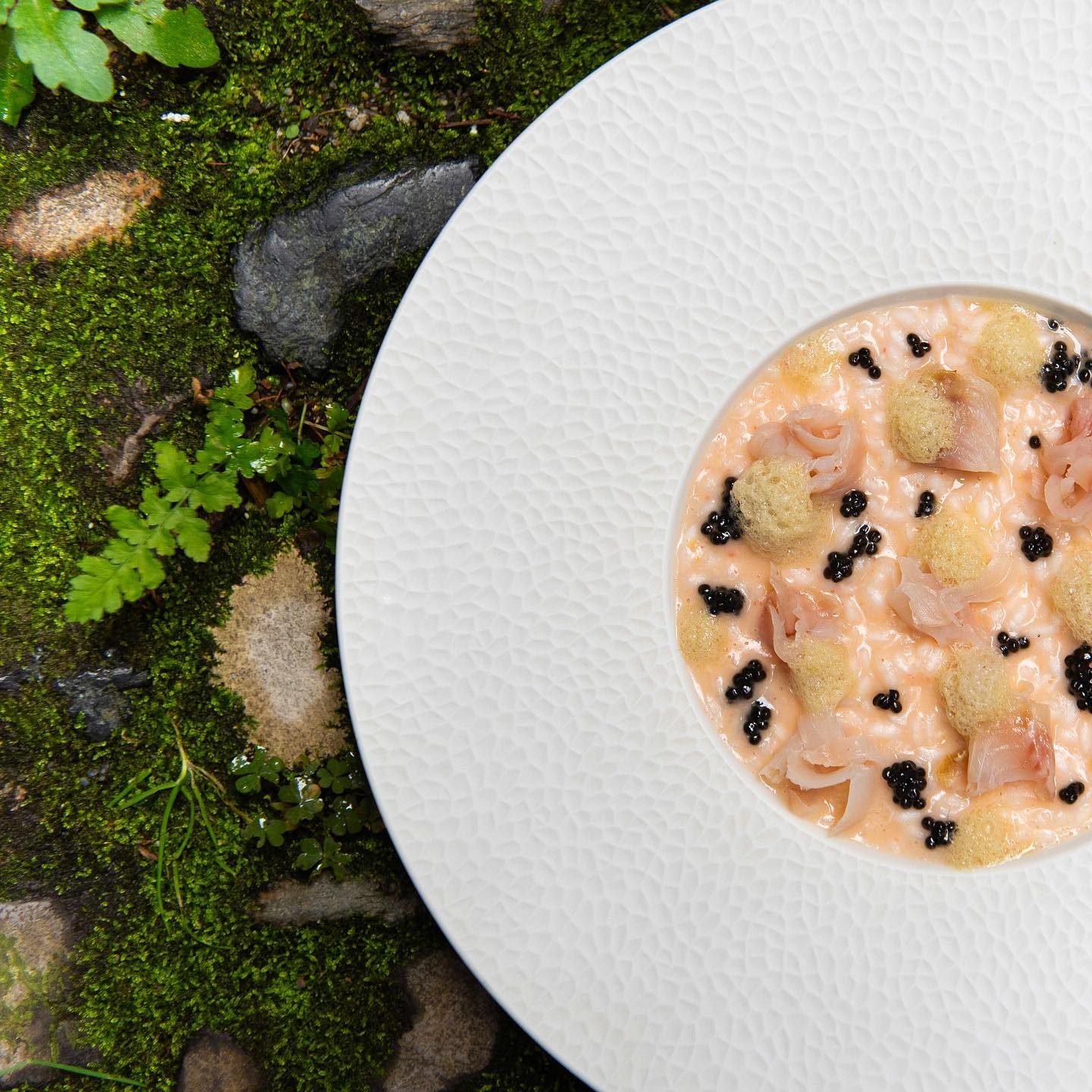 Risotto al coregone affumicato con caviale, corniole e germogli di pino