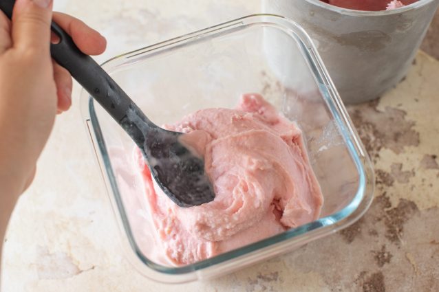 gelato yogurt e susine
