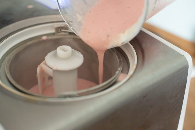 gelato yogurt e susine