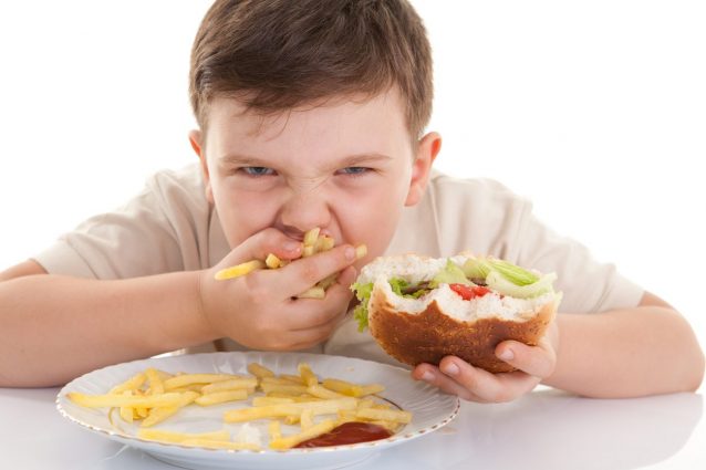 alimenti super-processati