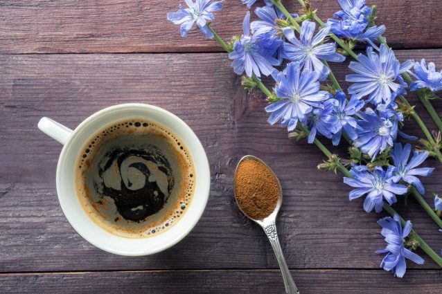 10 alternative al caffè: cicoria