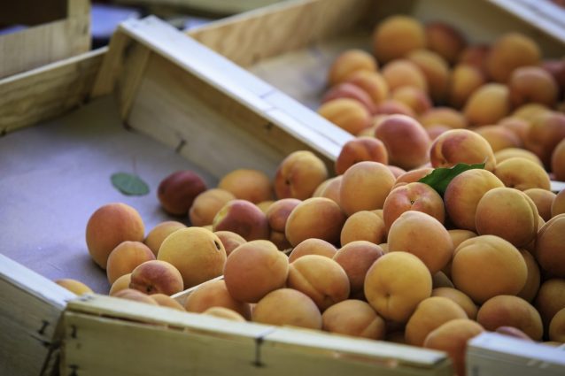 albicocche: proprietà e usi
