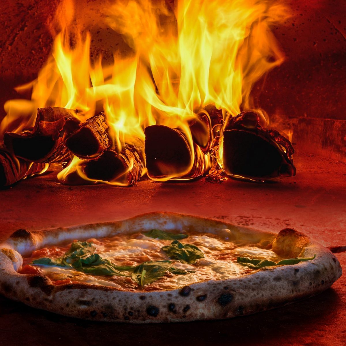 Il forno elettrico per la \