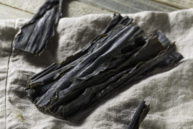 L’alga kombu