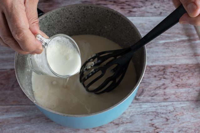 stracchino vegano
