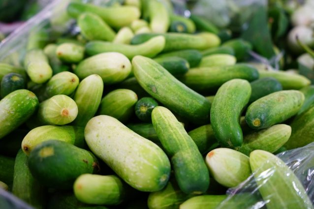 cetrioli proprietà e usi