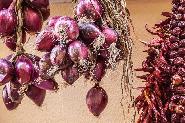cipolla rossa: varietà e usi