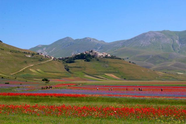 Foto di castellucciodinorcia.it