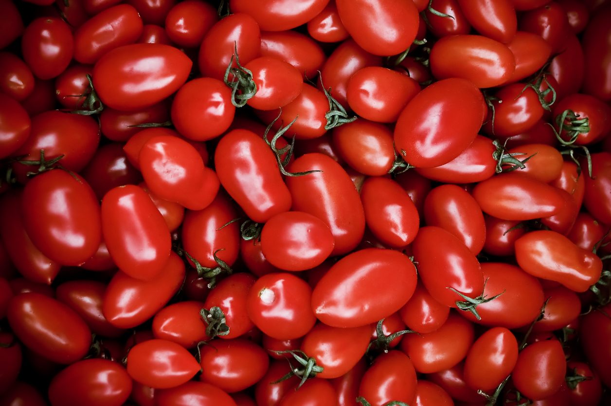 passata di pomodoro migliori varietà
