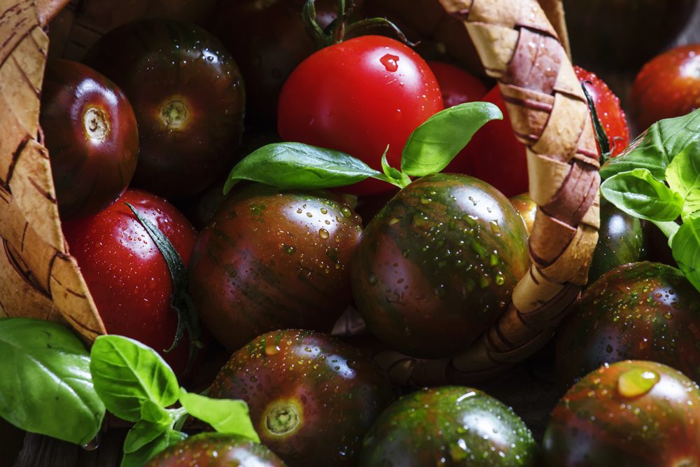 Pomodori neri: i black cherry