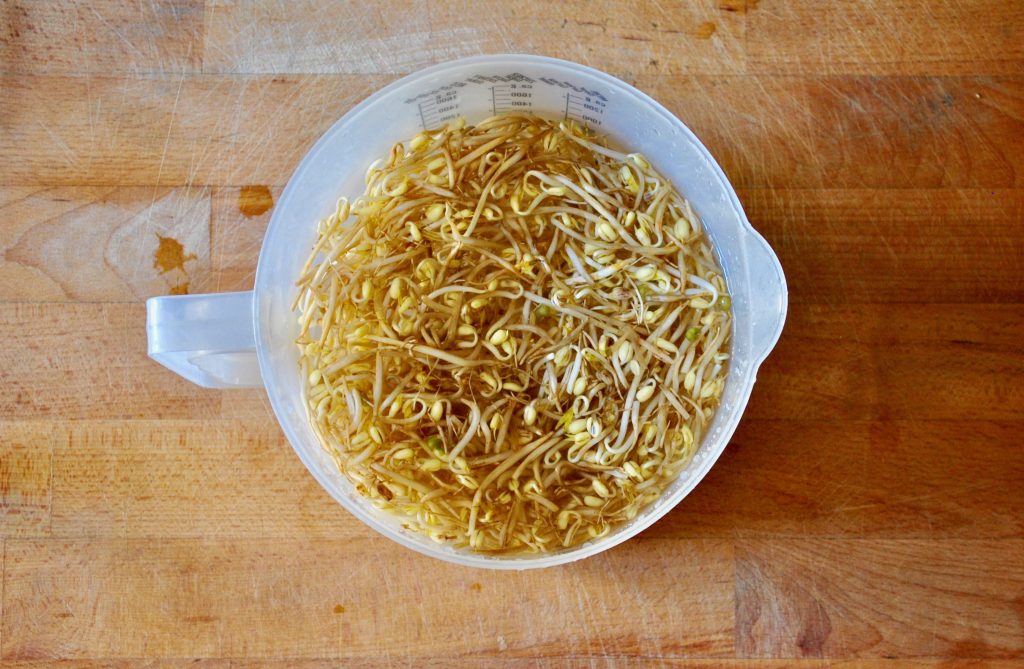 Insalata_di_riso_all_orientale_2_germogli in acqua