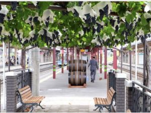 Foto di Wine Spectator