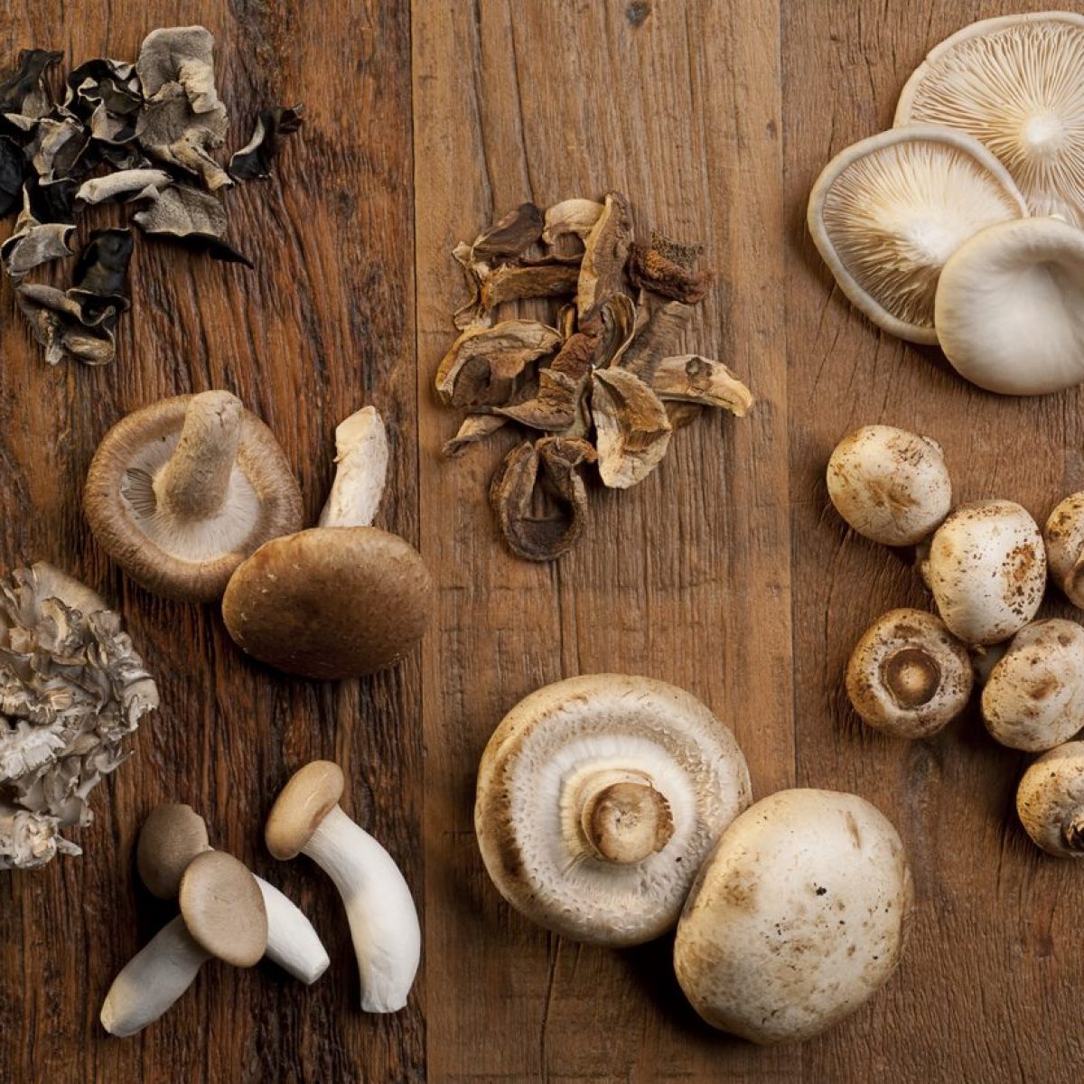 Come Cucinare I Funghi Mazza Di Tamburo