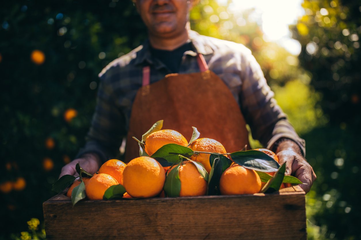 mercato novembre