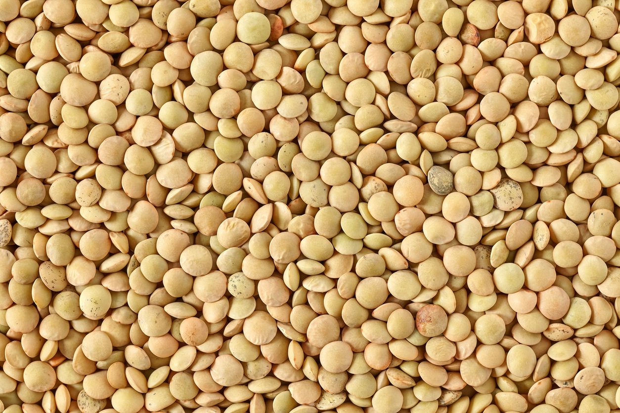 lenticchie: varietà
