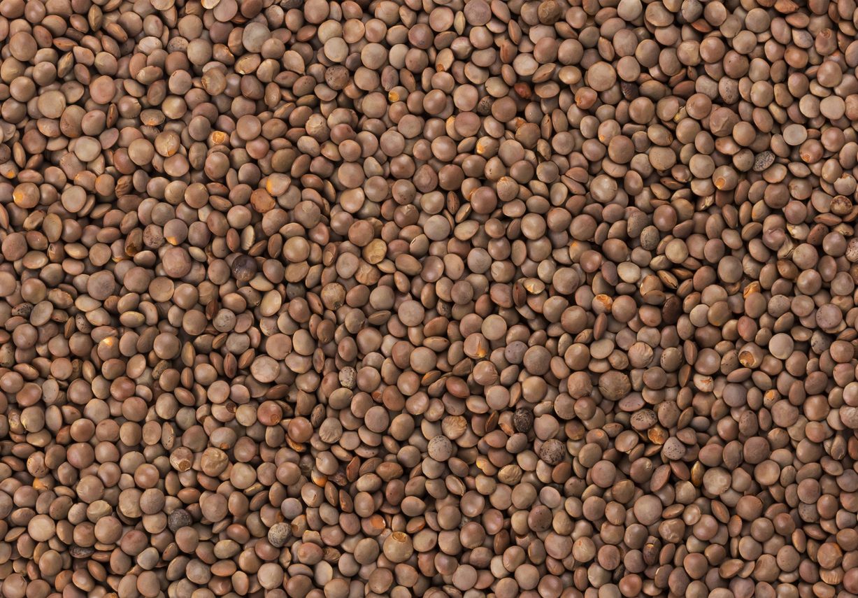 lenticchie: varietà