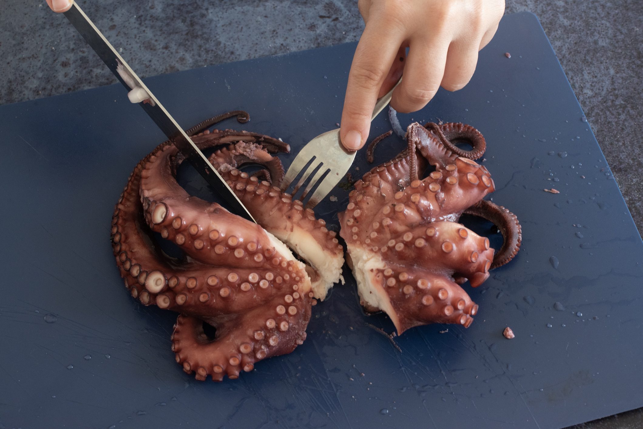 polpo alla catalana